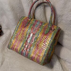 Beautiful Brahmin Caroline Satchel